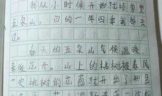 观察我身边的同学作文四百字 我的同学三年级作文