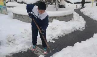 学校老师让家长去学校扫雪,去还是不去 家长开铲车到校扫雪