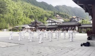 85式太极拳优缺点 85式太极拳