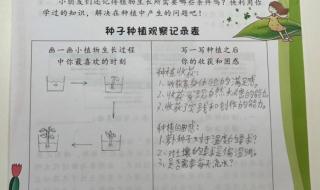 桃花的植物记录卡怎么写 三年级植物记录卡