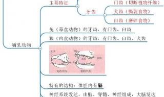 中考生物书上没有的知识点 初二生物上册知识点