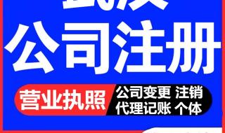 在武汉东湖高新区注册公司的流程是什么需要哪些手续 武汉工商注册公司