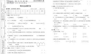 四年级上册语文期末考试作文是什么 九年级语文上册期末试卷