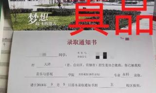 津心办怎么查中考录取通知 中考录取通知书查询入口