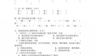 三年级英语期中考试重点知识 三年级下册语文期中考试卷