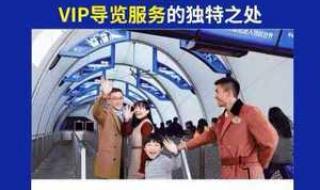 上海迪士尼怎么不排队 上海迪士尼vip免排队