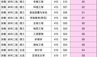 成都大学二本调档线2023 成都大学录取分数线